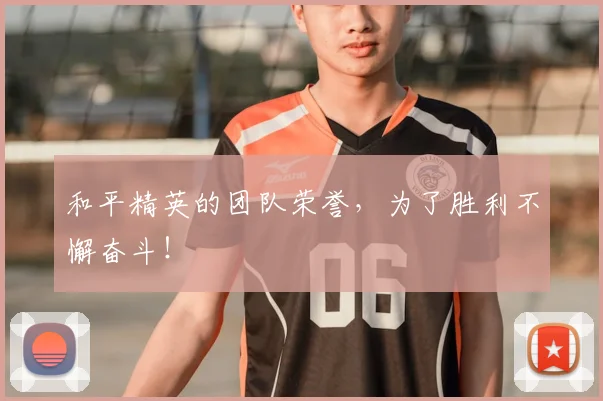 和平精英的团队荣誉，为了胜利不懈奋斗！