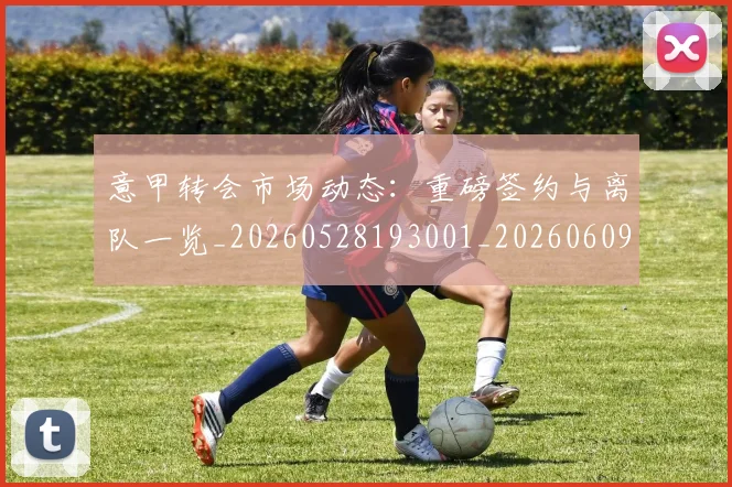 意甲转会市场动态：重磅签约与离队一览_20260528193001_20260609195819