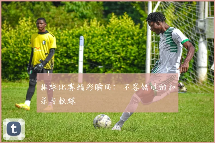 排球比赛精彩瞬间：不容错过的扣杀与救球