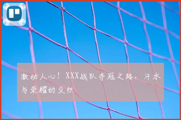 激动人心!XXX战队夺冠之路,汗水与荣耀的交织