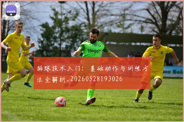排球技术入门：基础动作与训练方法全解析_20260528193026