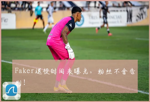 Faker退役时间表曝光,粉丝不舍告别!